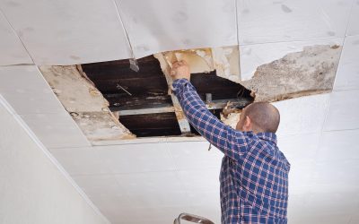 Why You Should Not Leave Your Roof Leaks Unaddressed