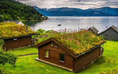 Eco-Friendly Roofing Options for Modern Homes
